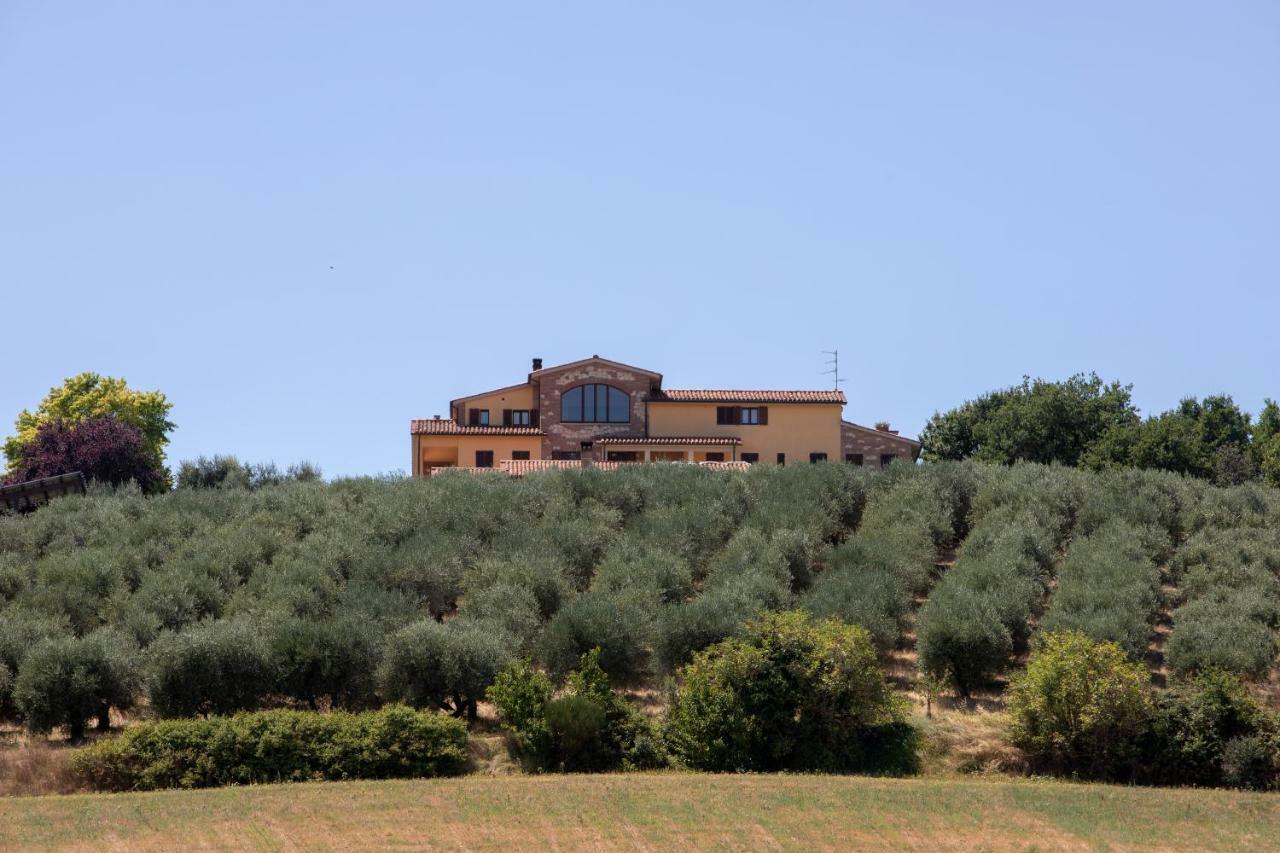 B&B La Casa Fra Gli Olivi マルシャーノ エクステリア 写真